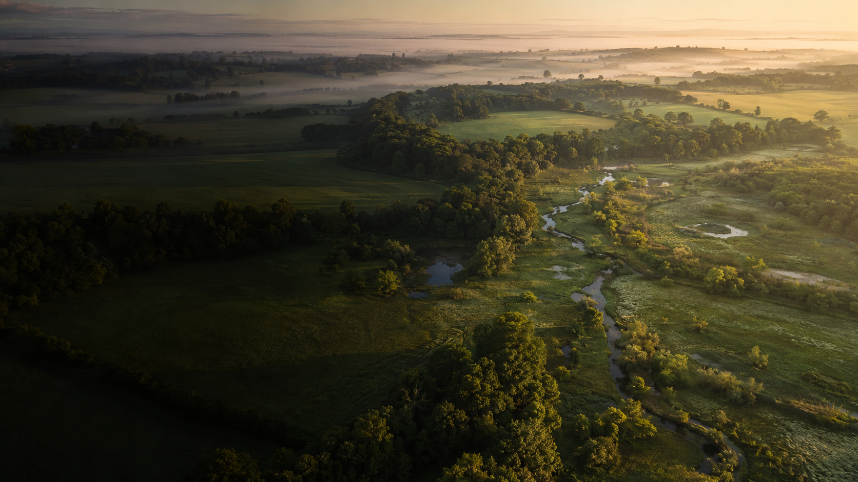 Aerial view of a restored estate landscape with woodland, watercourses and wetlands at sunrise